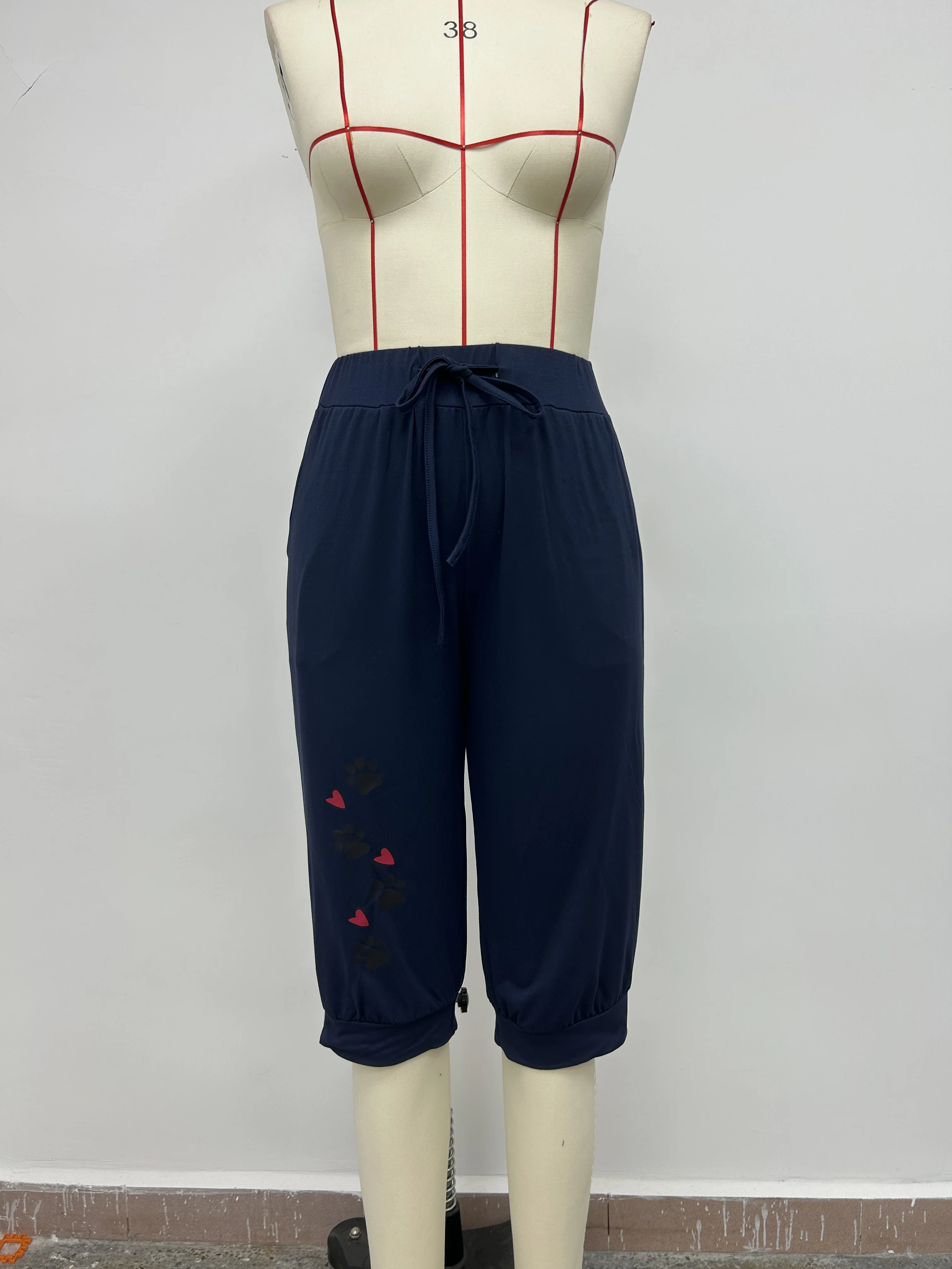 AliExpress Europäische und amerikanische grenzüberschreitende Sommer neue bedruckte, elastische Taille, Taschenbindung, kurze Hose