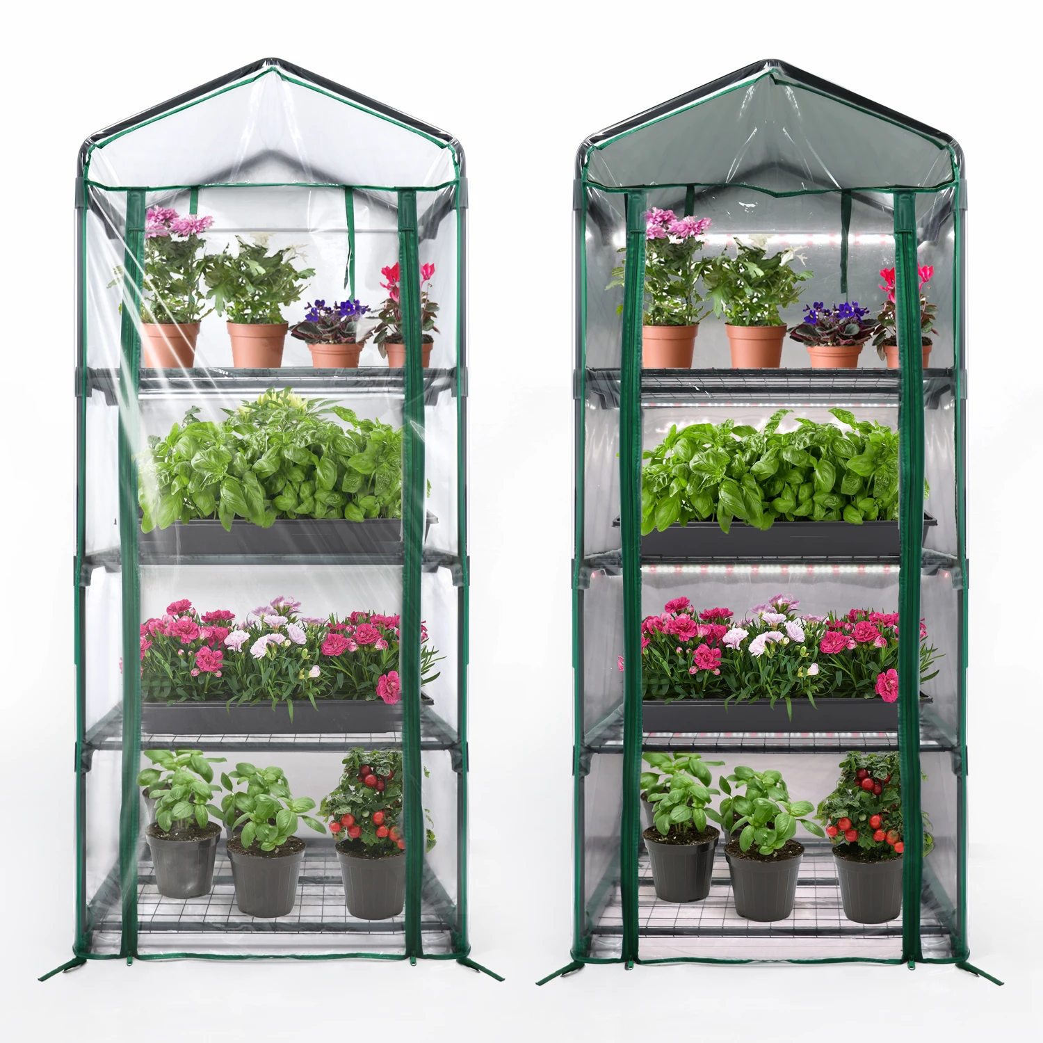 

Tent Greenhouse Plant Shelf for Cultivation with 36W Full Spectrum LED Grow Light for Seed Germination Potted Plant Propagation