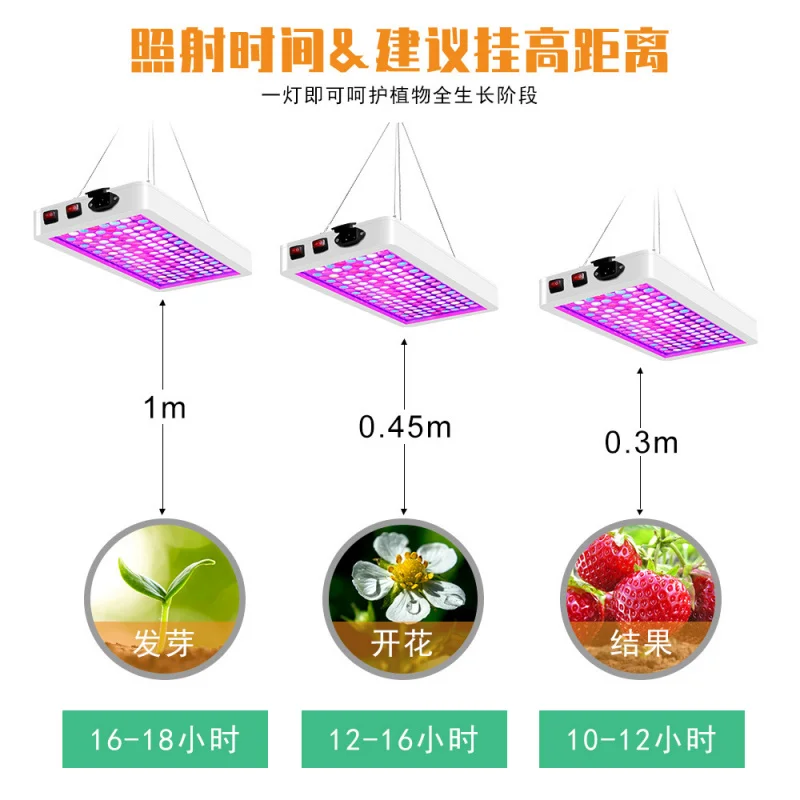 للدفيئة العنب LED تنمو ضوء الطيف الكامل ذكي ملء ضوء داخلي زهرة عصارية التلوين مكافحة الإضاءة الطويلة