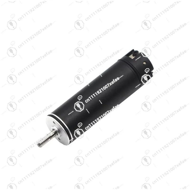 

Brushless DC motor 24V 30000 rpm for brushless nail drill