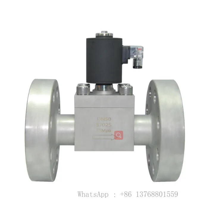 Pressure Can Be Customized High Solenoid Valve