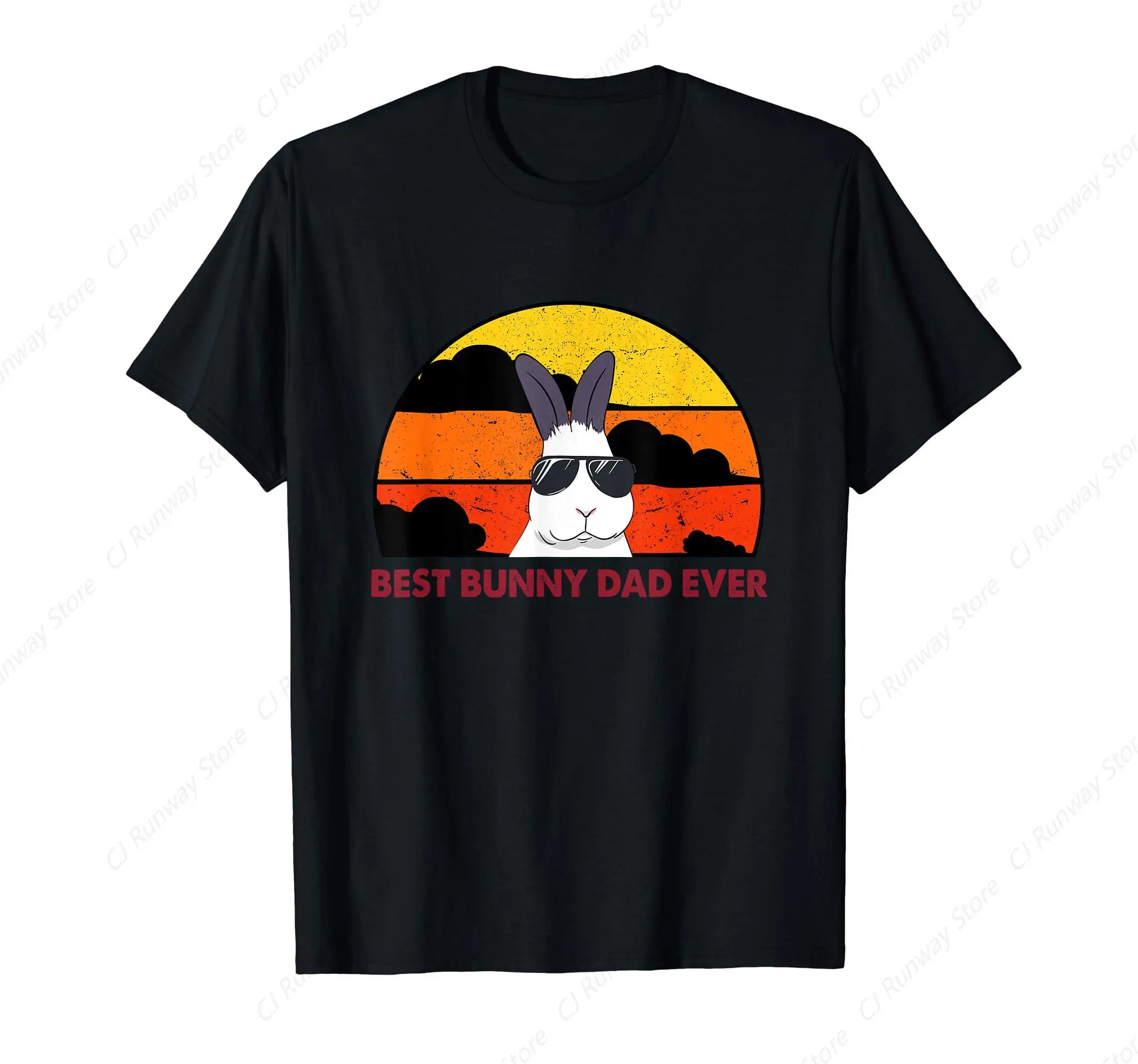 Best Bunny Dad Ever Rabbit Jumper Rabbit Dad Rabbit Daddy T-Shirt