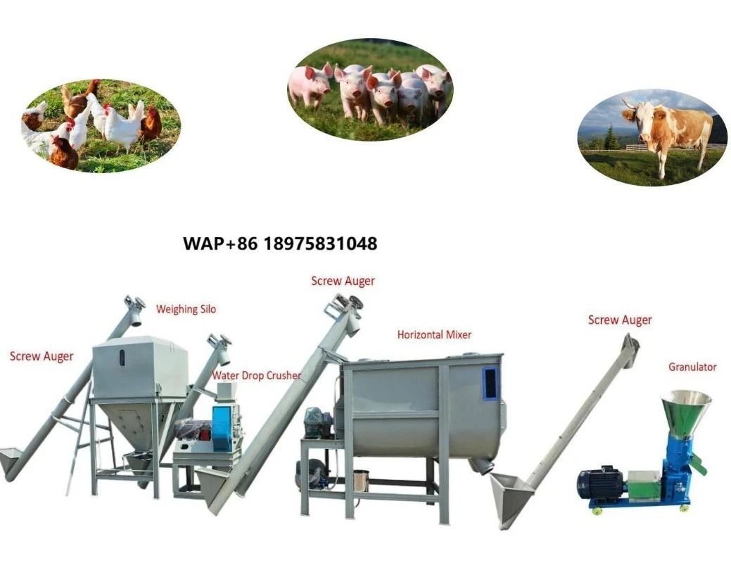 Factory Direct Sale High Productivity New Animal Feed Production Line 1T Per Hour for Sheep Chicken Pig Cattle