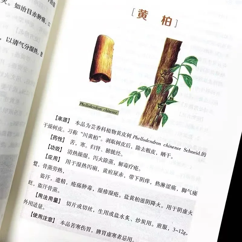 Hand-Painted Color Guide to Common TCM Herbs: Illustrated Atlas for Herbal Identification & Botanical Recognition