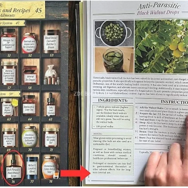 250 Powerful Remedies At Your Fingertips Forgotten Home Apothecary The Home Doctor Book for Every Family for Everyday Wellness