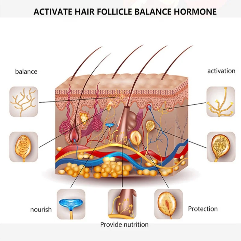 Huile essentielle pour la croissance des poils du visage, améliore les frisottis, rapide, injuste, liquide, barbe, produit modificateur, 50ml