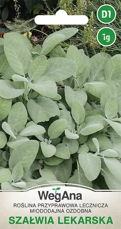 Medicación salvia 1G semilla salvia hierba VegAna