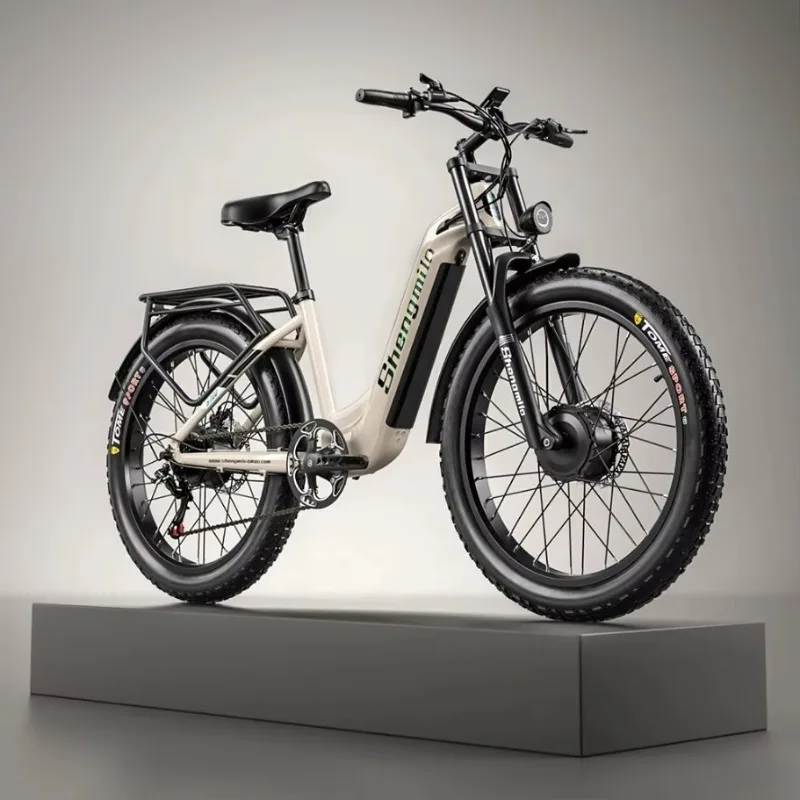 

250W 48V High Endurance Cross-Country Mountain Bike Motorbike Available Cross-Border Overseas
