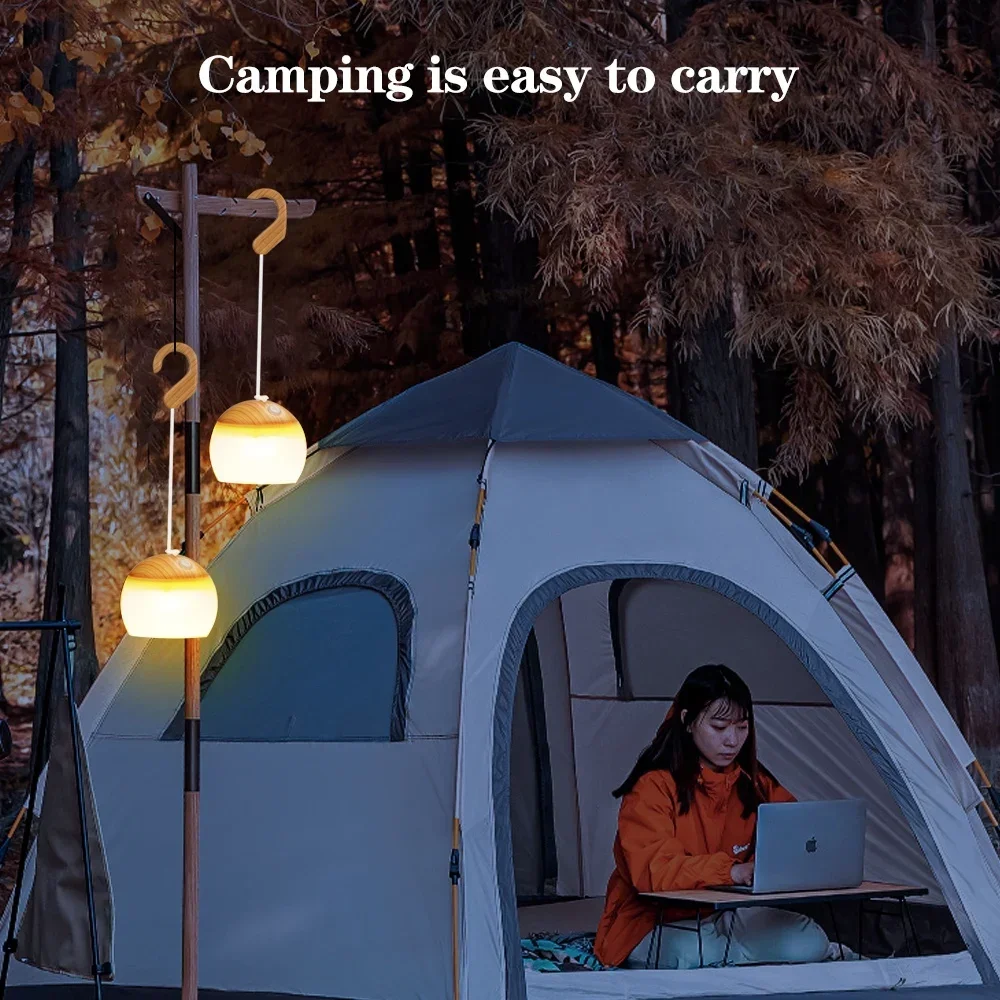 

Outdoor Atmosphere Night Light Camping Portable Lighting LED Tent Light Snow Lantern Flower Rechargeable Flashlight