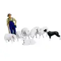 Whole Set