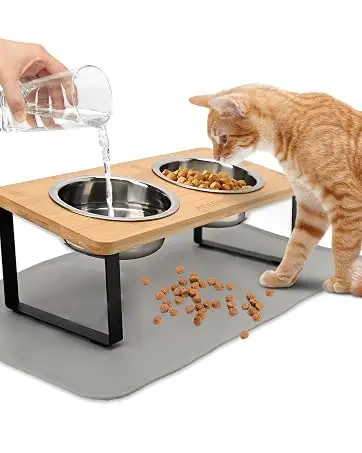 Elevated Cat Bowls with Non Slip Mat