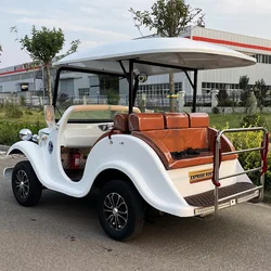 All electric mini buses/sightseeing golf carts, beach bikes, classic vintage cars