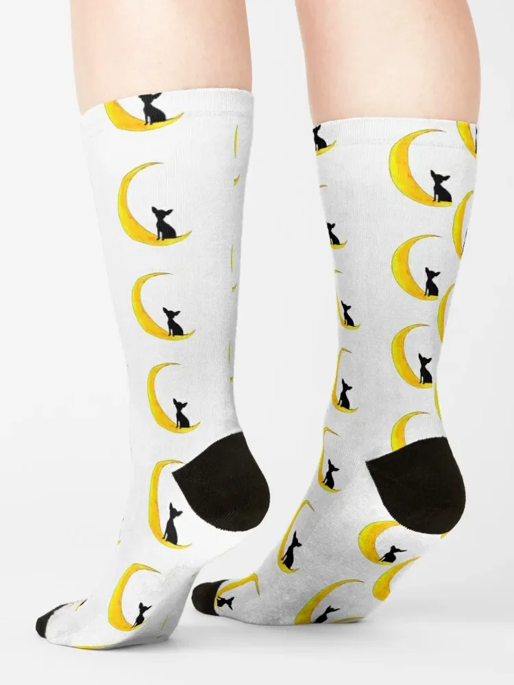 Chaussettes rétro Chihuahua Moon pour hommes et femmes, chaussettes imprimées