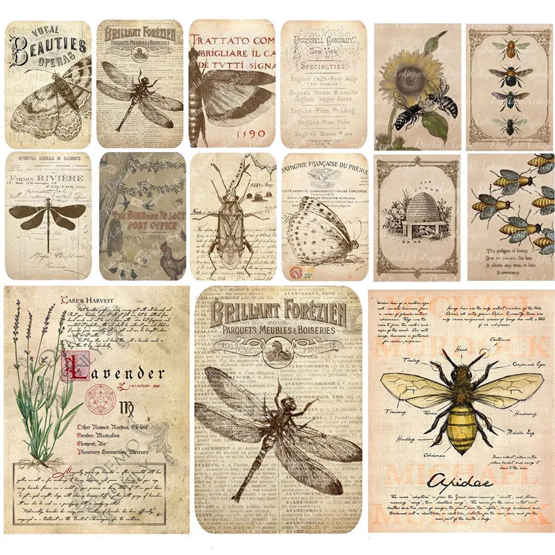 20Pcs/Pack Vintage Insect Newspaper Sticker DIY Craft Scrapbooking Album Junk Journal Decorative Stickers