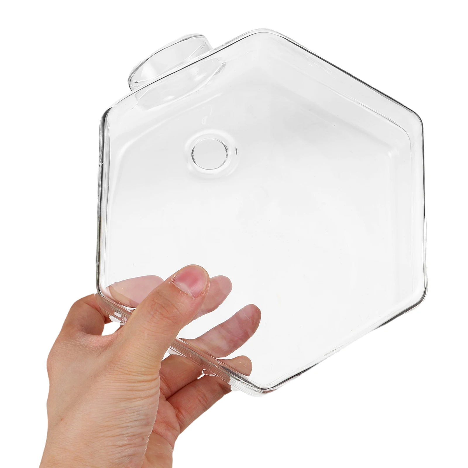 

Wall Mounted Vase Hanging Glass Planter Transparent Flower Pot for Hydroponic Plants Indoor Home Office Room Decoration