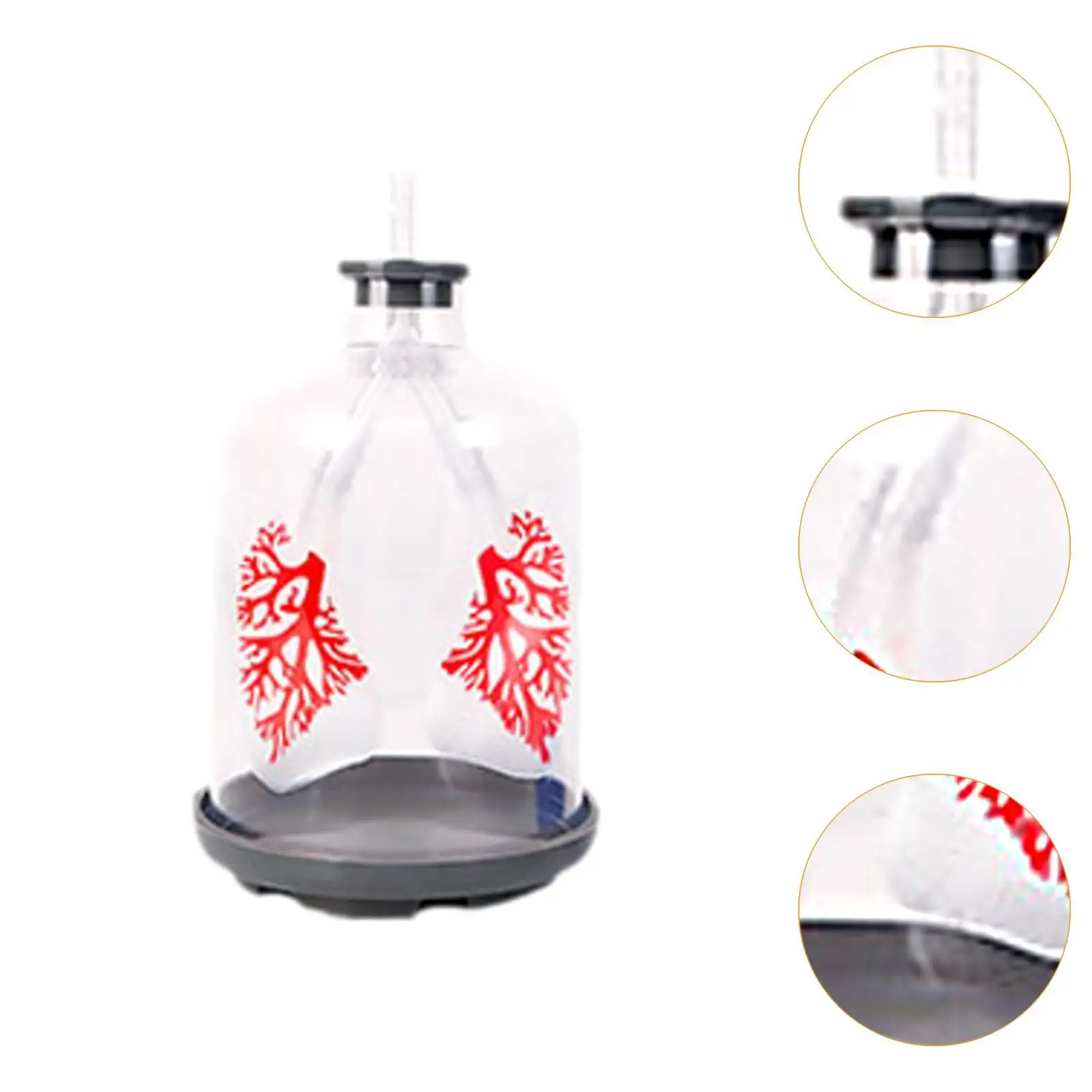 Lung Function Demonstration Model Detachable Science Learning DIY Teaching Aid for 8+ Year Old School Teens All Ages Children