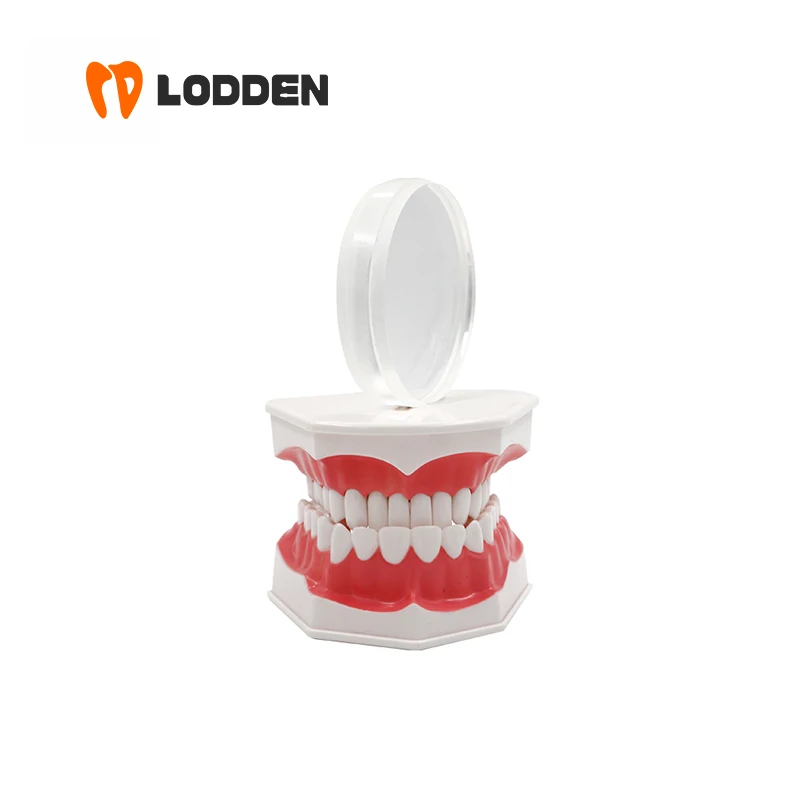 LODDEN Monolayer PMMA Dental Disc 98mm Dental Lab Preshade Monochrome Resin Block 1Piece for CAD/CAM System Dentist Materials