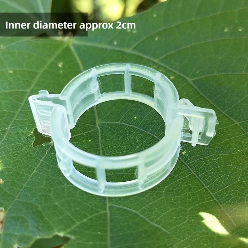 Plant Fixing Clips Vine Fastener Seedling Support Clamp Fruit Vegetable Vines Trellis Holder Gardening Seedling Hanging Clip