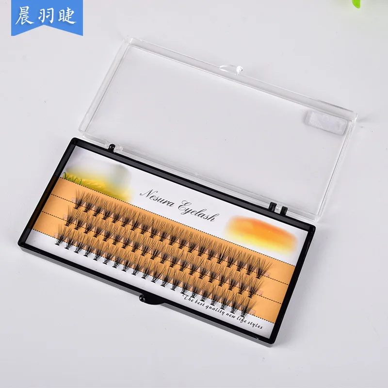 20D/C cils de vison 1 boîte/60 paquets Extension de cils naturels russie cils individuels grappe outils de maquillage cils cils