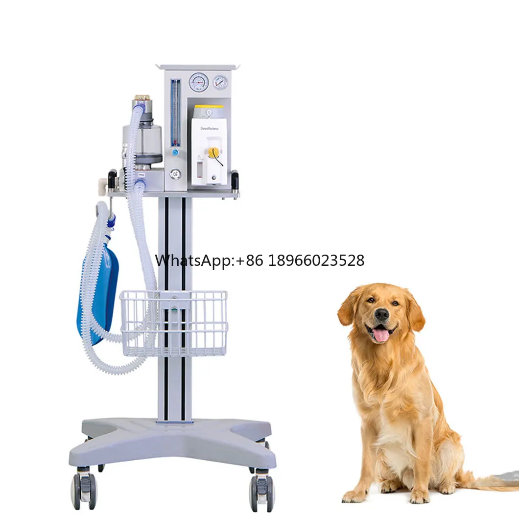 Pet Hospital Clinic Medical Portable Veterinary Anesthesia Machine Maquina De Anestesia Veterinaria