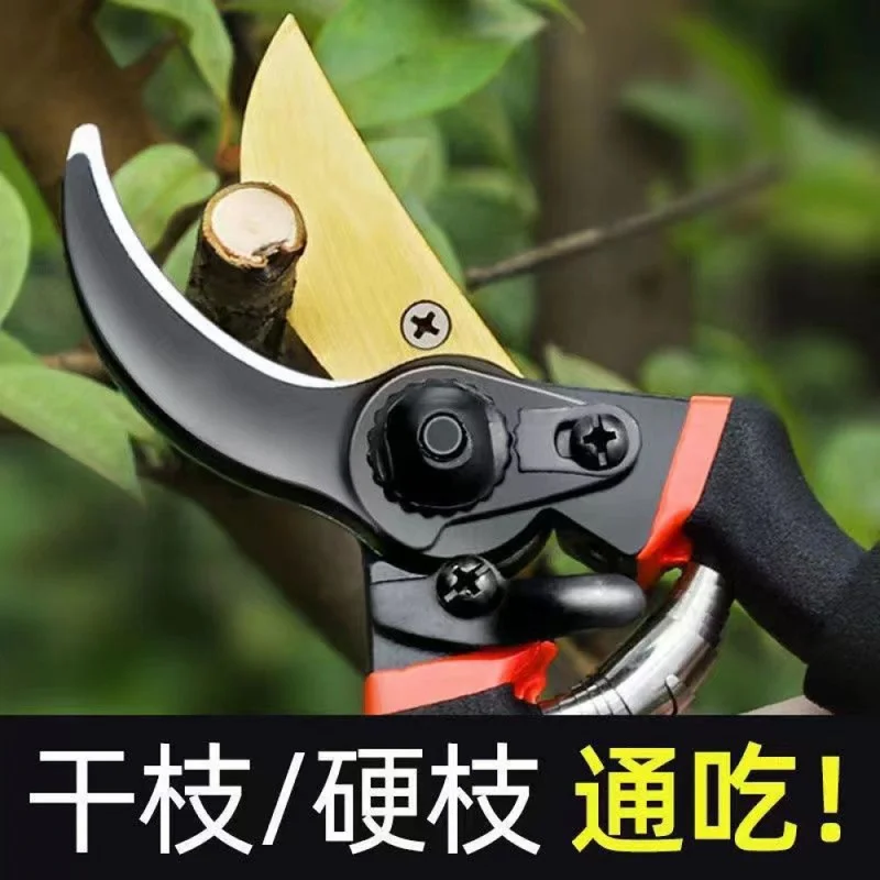 SK5 Pruning Shears, Labor Saving Garden Scissors, Stainless Steel Sharp Branch Cutter, Heavy Duty Fruit Tree Trimmer for Thick B