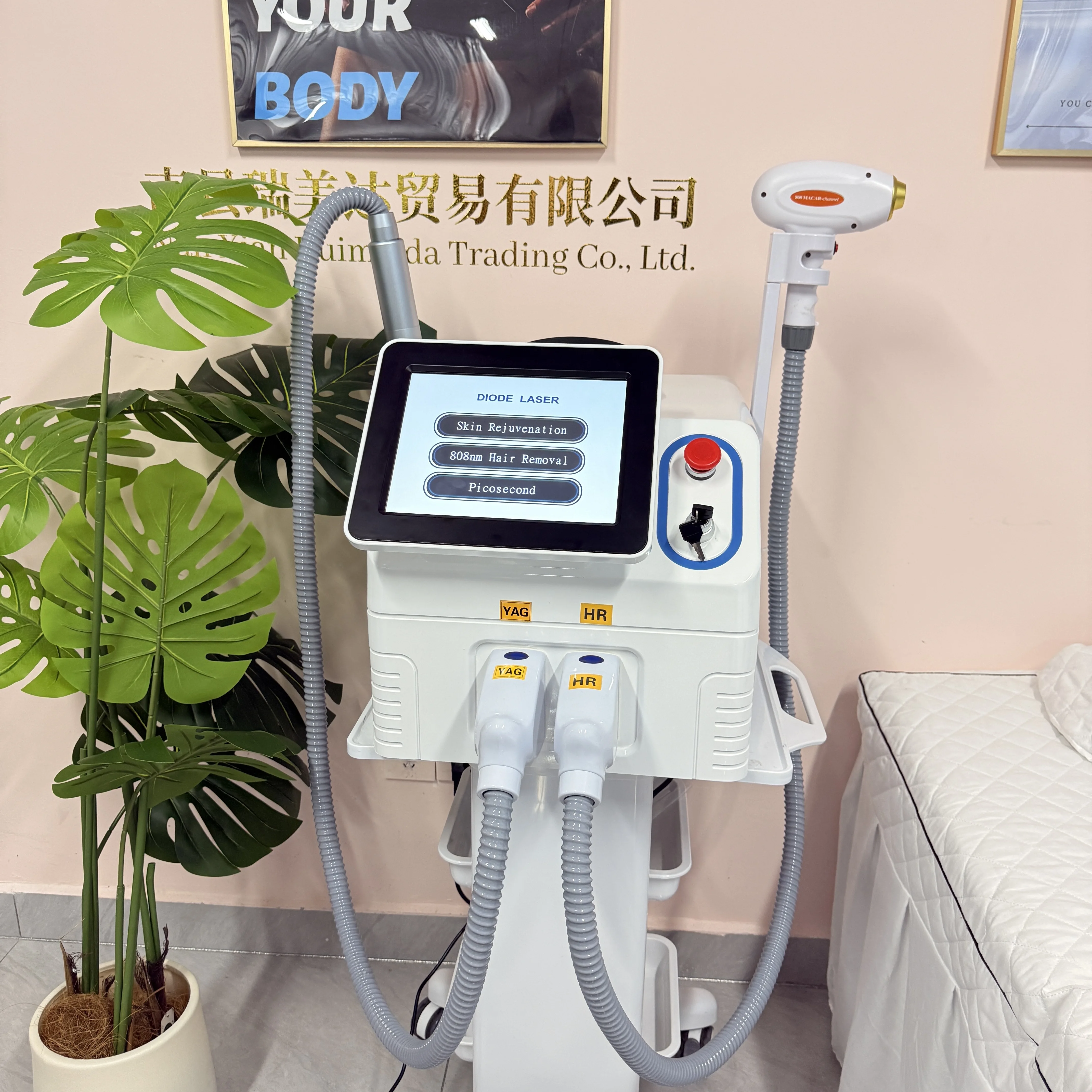 2 IN 1 전문가용 3파장 755 808 1064NM - Industrial Laser Hair Removal Machine 리뷰 및 가격