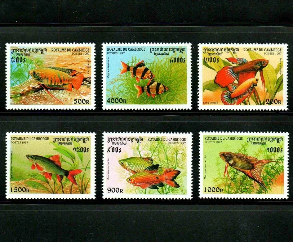 6Pcs/Set New Cambodia Post Stamp 1997 Tropical Fish Stamps MNH