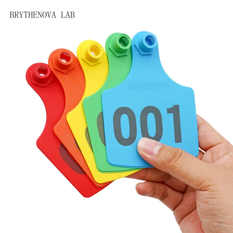 100pcs-cow-ear-tag-identification-card-with-word-signage-animal-105x75mm-cow-ear-copper-head-earrings-equipment