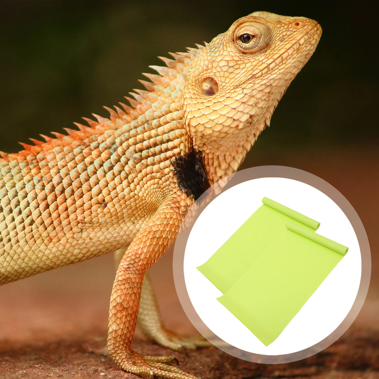 

2pcs Reptile Mat Eva Waterproof Floor Liner For Terrarium 15 Gallon 20 Gallon Tank Reptile Bedding Gecko Hide Mat Snake Habitat