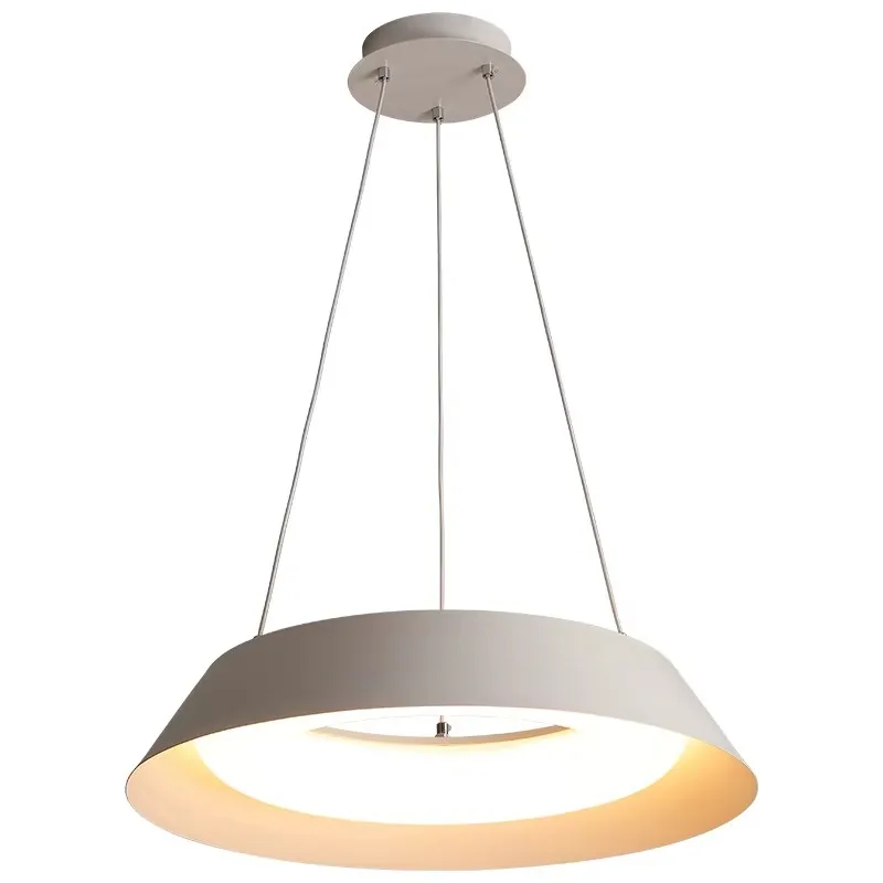 Modern Minimalist Dining Room Pendant Light Creative Personality Living Room Study Bedroom Designer Model Decorative LED Light