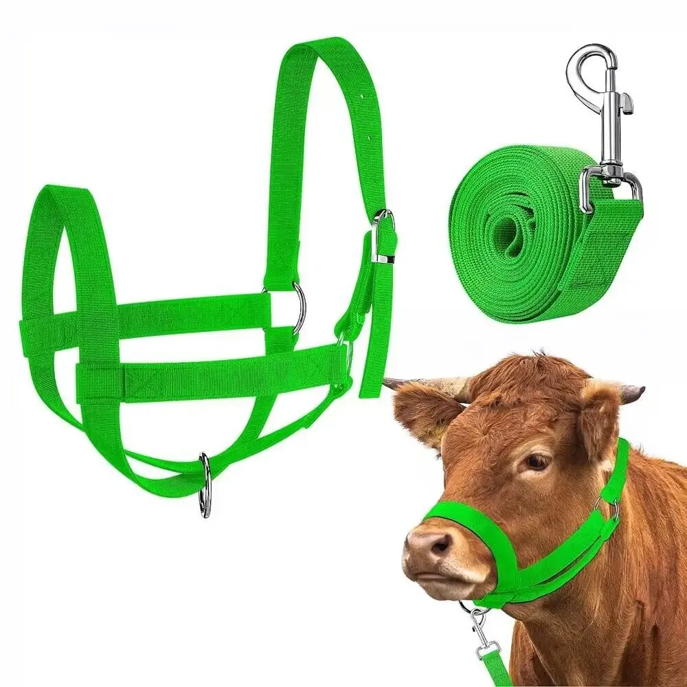 Equestrian Supplies Adjustable Cow Halter with Lead Heavy Duty Nylon Horse Halter Durable Harness Livestock Strap Outdoor Use