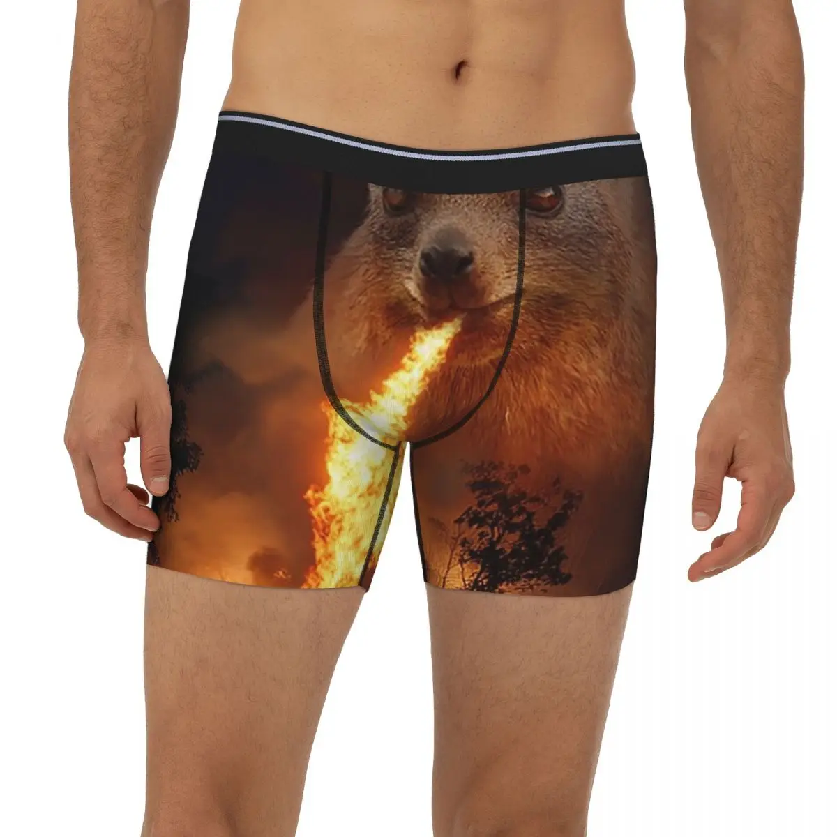 

Менто я здесь, длинные трусы-боксеры Rock Hyrax, короткие мужские трусы, удобное нижнее белье для мужчин, подарки бойфренду