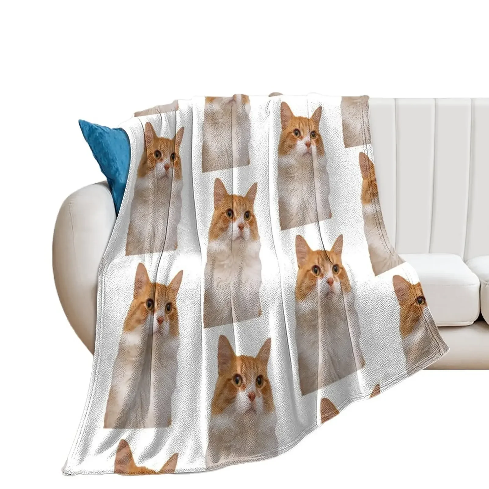 Handsome Ginger Cat Throw Blanket Soft Plush Plaid Sofa Large anime Blankets