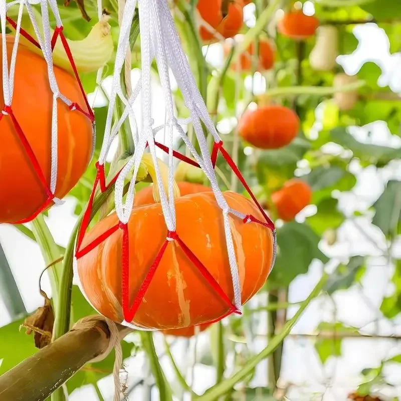 Watermelon Mesh Bag Hammock Reusable Melon Hanging Net Bag Fruit Harvest Trellis Hammock For Watermelon Pumpkin Cantaloupe
