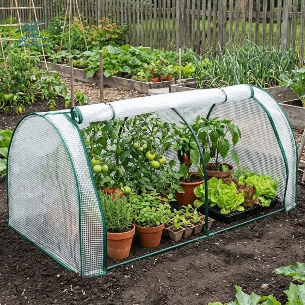 Mini Invernadero Transparente para Plantas, Carpa de Cultivo de Plástico Impermeable, a Prueba de Pájaros, con Aislamiento Eficiente para Proteger el Jardín