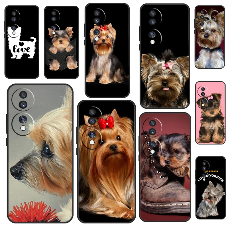 Yorkshire Terrier D… - image