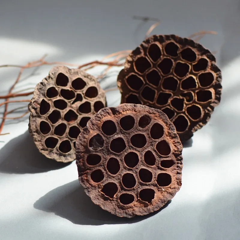 10/12/24pcs Real Lotus Pods Rustic Country Mori Style Christmas Wreaths Dried Flower Arrangement Decorations Home Decoration