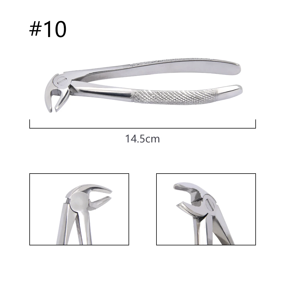 10-teiliges Set Zahnextraktionszangen mit Werkzeugset, Zahnärztliches Chirurgieinstrument für Kliniken, Zangen für Erwachsene/Kinder – Detail 15