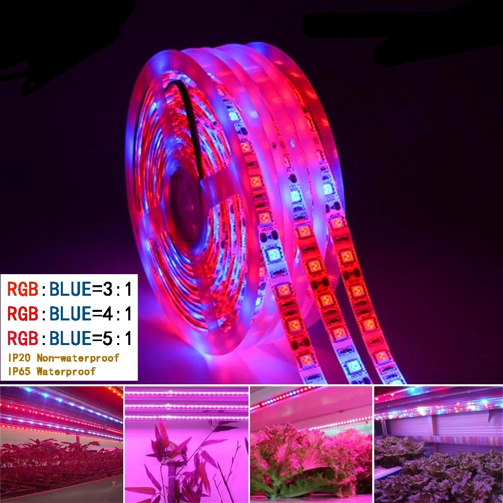 Led Grow Light Strip Full Spectrum Flower Plant The Seeds Phyto Growth Lamp DC 12V for Indoor Greenhouse Hydroponic Grows Lights