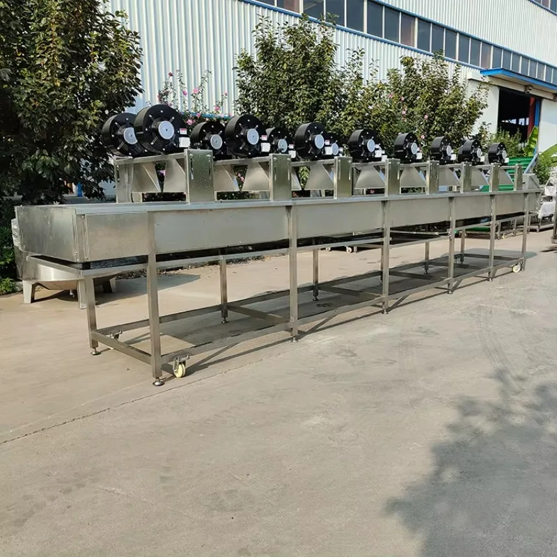 Automatic Temperature Control System Fruits and Vegetables Drying Dehydration Plant Machine Commercial Dehydrator