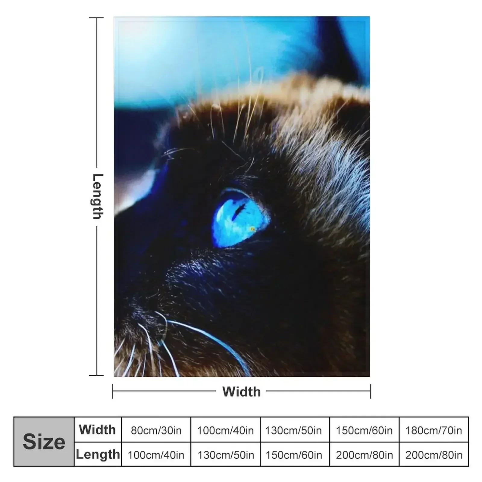 Siamese cat blue eyes / Swiss Artwork Photography Throw Blanket Flannel anime Plaid Bed covers Thermals For Travel Blankets