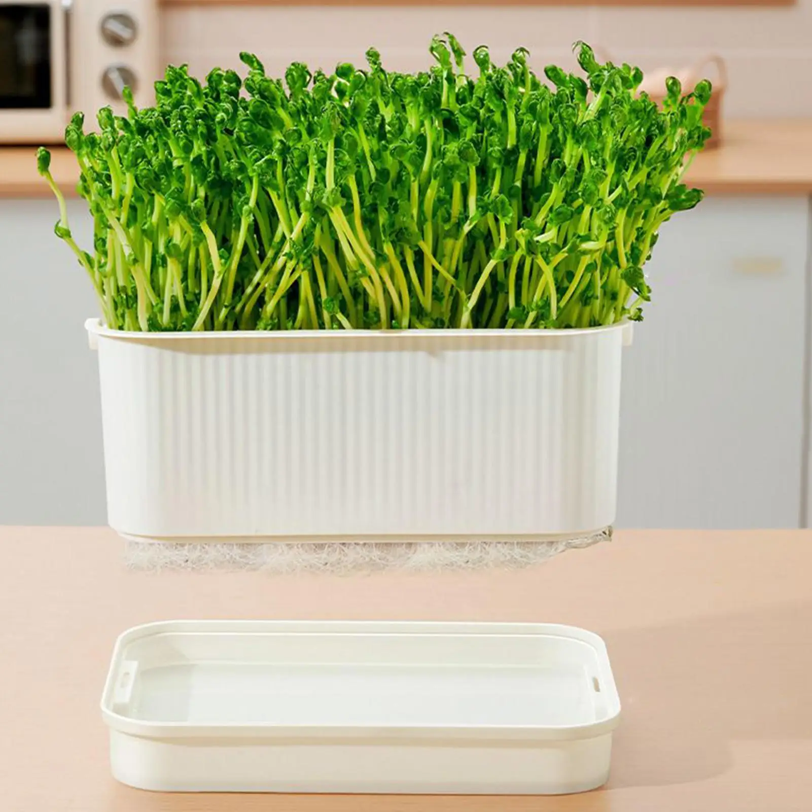 Sprout Tray Soil-Free Pea Sprouter With Lid Cultivation Germination Tray For Bean Pea Wheatgrass Growing Planting Cultivation