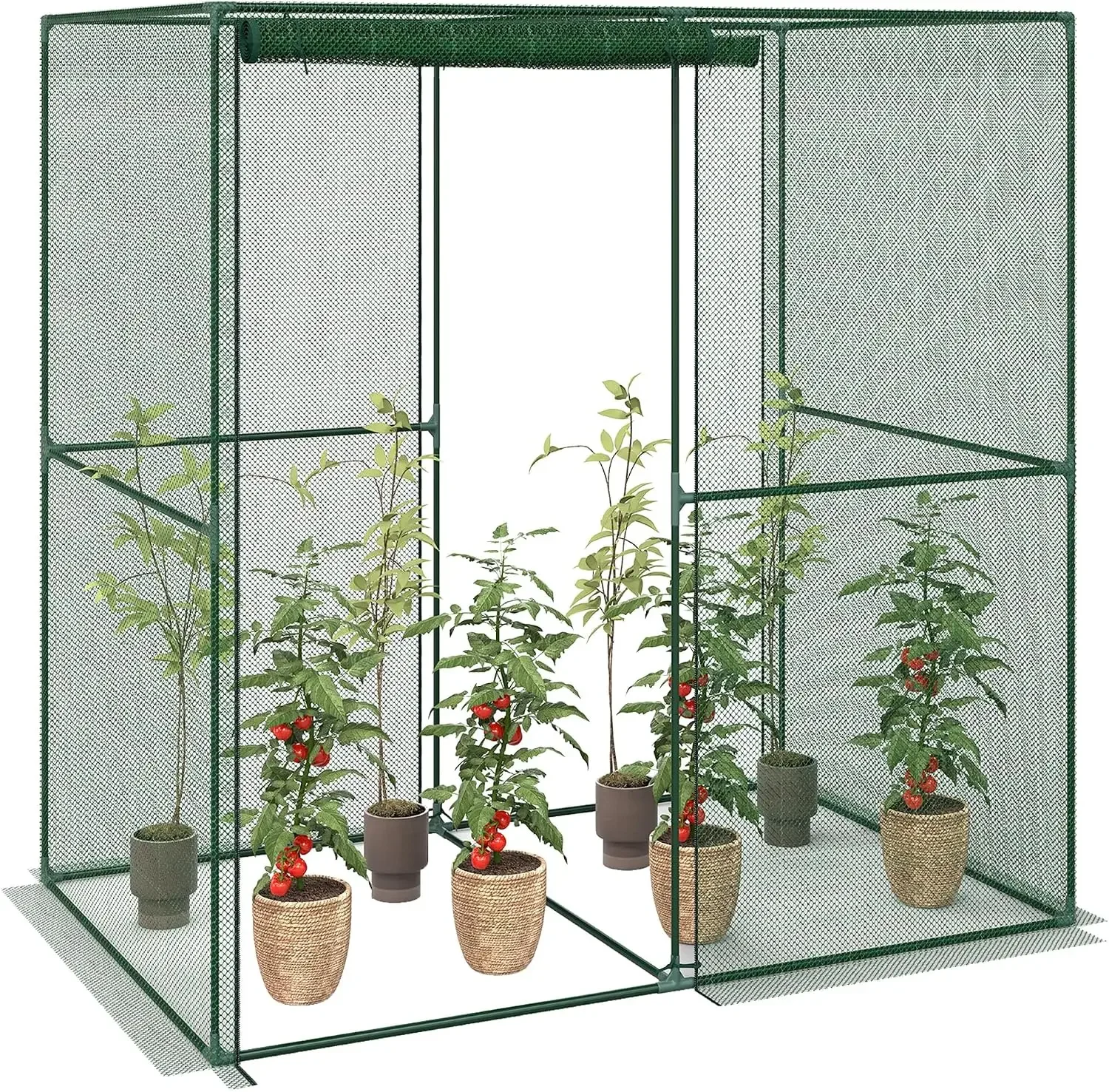 6 ft * 4 ft * 6 ft Walk-In Crop Cage with Steel Frame and Tear-Resistant Mesh for Plant Protection Against Birds and Small Animals
