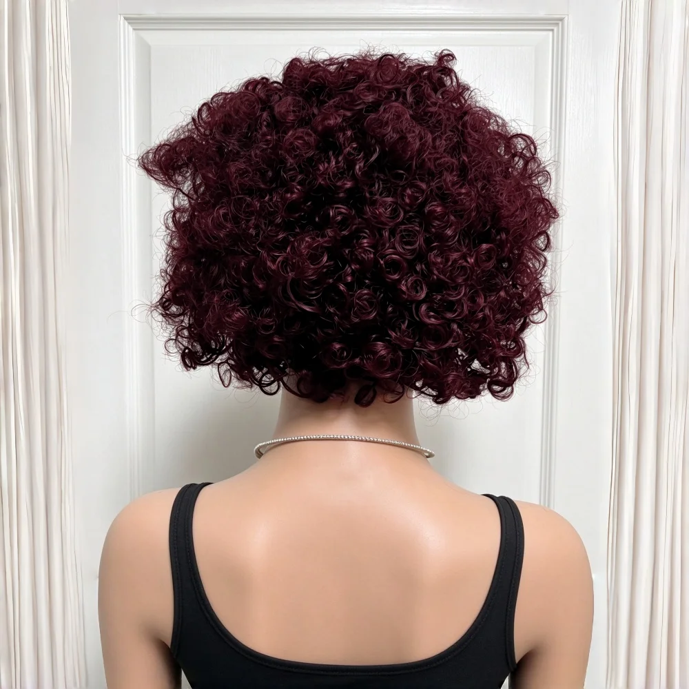 Curly Human Hair 13X4 Lace Front Wig 1B99J Ombre Burgundy Ends Pre Plucked Natural Baby Hair Soft Fluffy Curly Texture Lace Wig