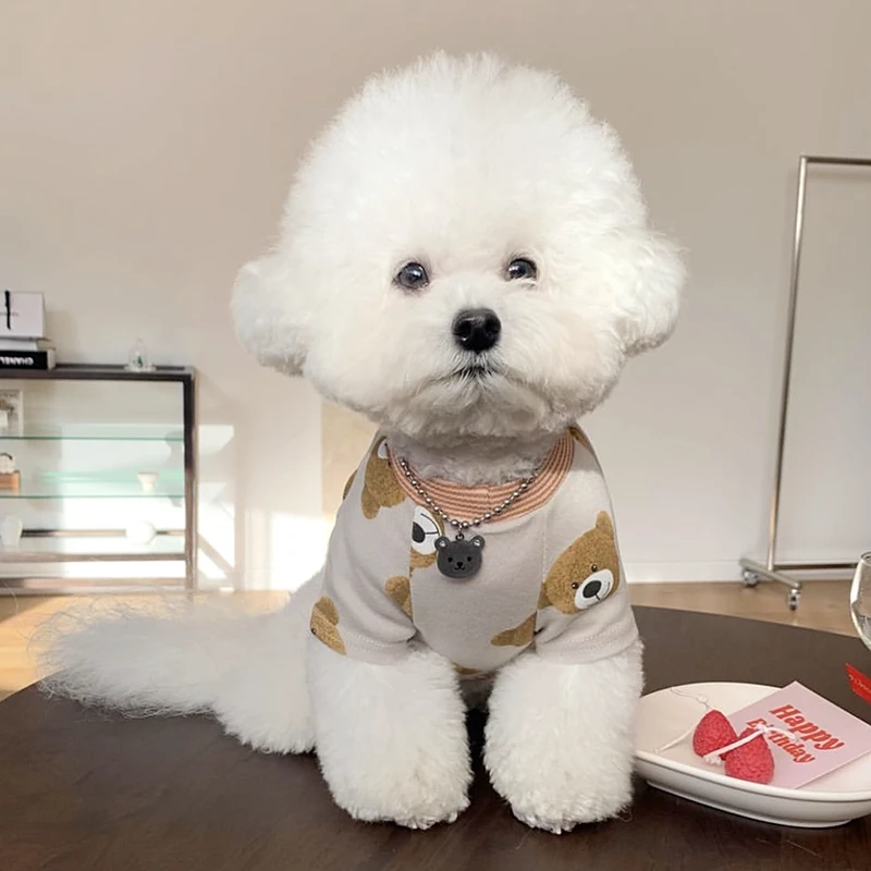 Autumn Teddy T-shirt Pet Bottoming Shirt Warm Puppy Clothes than Bear Soft Two-legged Clothing Cartoon Bear Pattern Dog Clothes