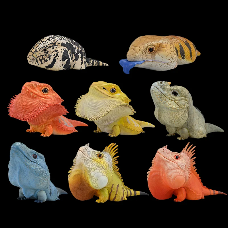 

Bestseller! [In Stock] Animal Planet 'Plump & Jolly' Series Vol.16 - Lizard Collectible Figure (Official Licensed)