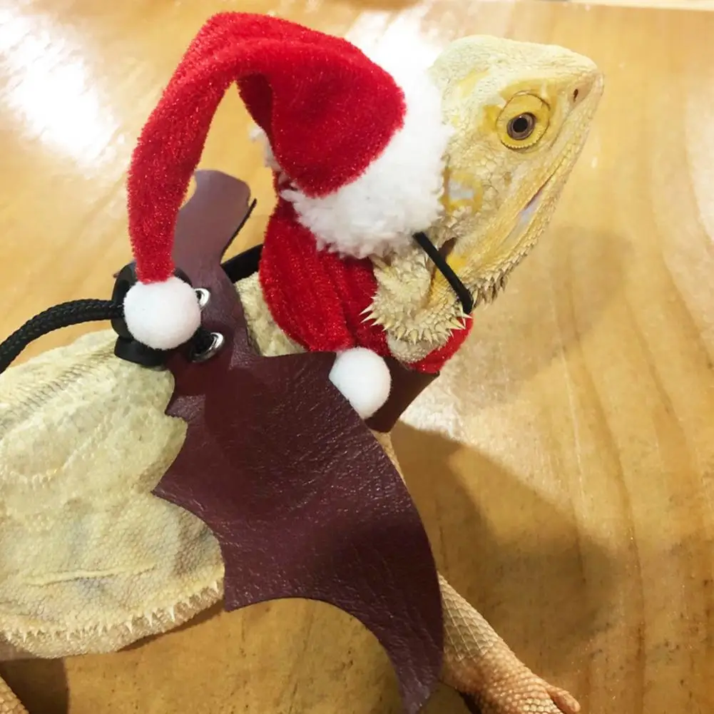 1 Set Christmas Lizard Santa Hat，with Scarf，Holiday，Christmas Lizard Santa Hat，For Lizard Snake Dragon Small Animal Costume