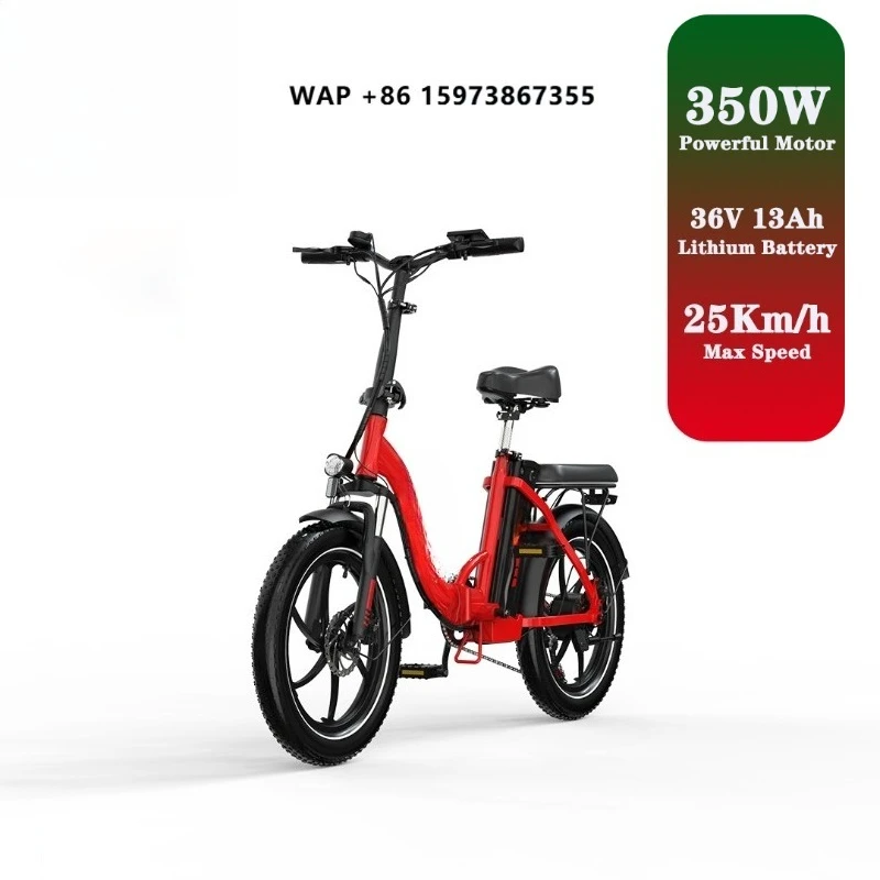 Customized Aluminum Alloy Folding Electric Bicycle 20 Inch 250W/350W Brushless Motor Lithium Battery 36V 13AH Sidecar for Adults