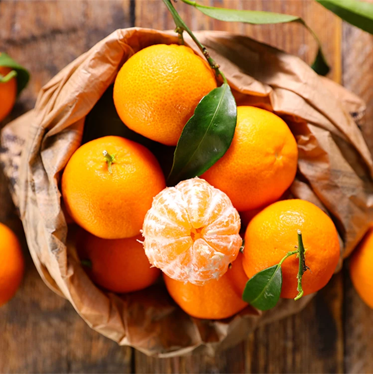 [Dalsun Park] Mandarinas de campo abierto de cosecha temprana de Jeju de gran tamaño (2,5 kg/4,5 kg/9 kg)