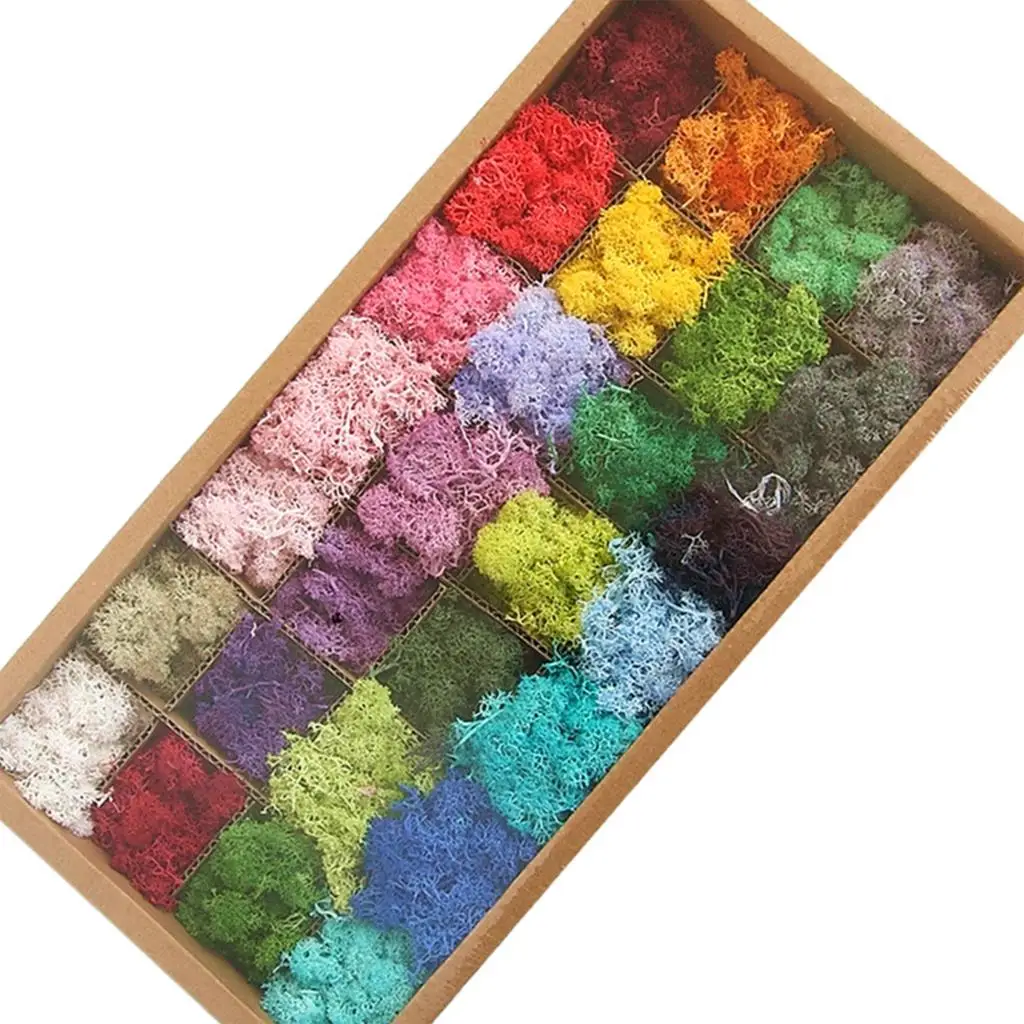 20/80g Ewiges Leben Moos Gras Mini Landschaft Gefälschte Gras DIY Handwerk Hause Wohnzimmer Garten Dekoration Künstliche grüne Pflanzen – Detail 17